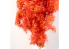 AK interactive Diorama series ak8266 BUISSONS FANTAISIE ROUGE-ORANGE