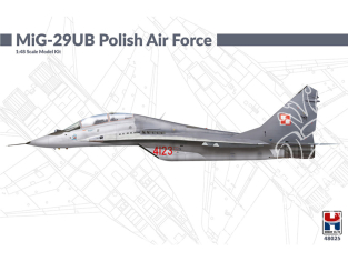 Hobby 2000 maquette avion 48025 MiG-29UB Polish Air Force 1/48