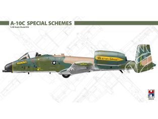 Hobby 2000 maquette avion 48029 A-10C Special Schemes 1/48
