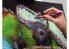 Harder &amp; Steenbeck AEROGRAPHE 133912 Chameleon Infinity 2023 Limited Edition Spring: Carmin et Jacaranda
