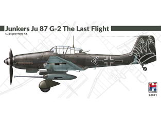Hobby 2000 maquette avion 72071 Junkers Ju 87 G-2 The Last Flight 1/72