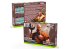 Green Stuff 12536 Set Peinture Opaque- Couleurs Chair