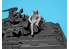 Icm maquette figurine 35756 Équipage de char des forces armées ukrainiennes 1/35