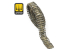 Ammo Mig 8975 Set chenilles Panzer III / IV Mid utilisé entre 1942 &amp; 1944 1/72
