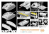 dragon maquette militaire 7354 StuG.III Ausf.G 1/72