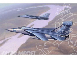 Hobby boss maquette avion 80352 General Dynamics EF-111A Raven 1/48