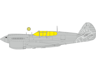 Eduard Express Mask EX1089 P-40E TFace Eduard 1/48