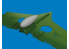 Eduard kit d&#039;amelioration avion brassin Print 6481084 Réservoir largable P-40 Eduard 1/48
