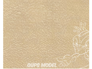PLASTRUCT 91562 FEUILLE DE PIERRE À FOND ALÉATOIRE 0,5x300x175mm 2piéces Beige clair 1/200 N