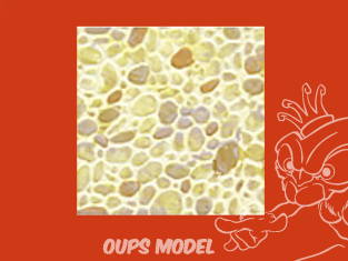 PLASTRUCT 91588 FEUILLE À MOTIFS DE PIERRE POLIE ALÉATOIRE 0,5x300x175mm 2piéces Beige clair 1/48 O