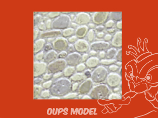 PLASTRUCT 91589 FEUILLE À MOTIFS DE PIERRE POLIE ALÉATOIRE 0,5x300x175mm 2piéces Beige clair 1/24G