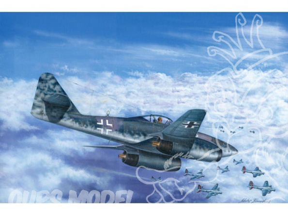 Hobby boss maquette avion 80375 Messerschmitt Me 262 A-1b 1/48