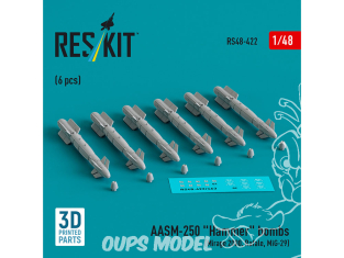 ResKit kit armement Avion RS48-0422 AASM-250 « MARTEAU » 6 pièces imprimées en 3D 1/48