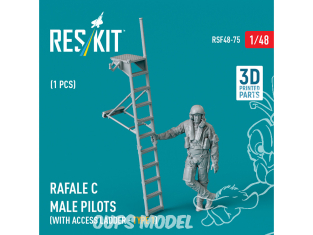 ResKit Figurine RSF48-0075 Pilote Rafale C mâle avec échelle d'accès type 1 1pcs imprimé en 3D 1/48