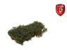 Titans Hobby végéation TTH215 Arbustes 15x15 Longueur 15mm Vert été