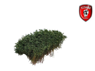 Titans Hobby végéation TTH207 Arbustes 15x15 Longueur 15mm Vert foncé été