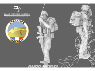 Blacksnake Model figurine FR-01 Soldat Français Opération Barkhane figurine 1 1/35