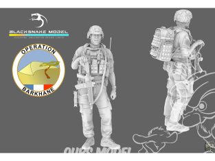 Blacksnake Model figurine FR-03 Soldat Français Opération Barkhane figurine 3 1/35