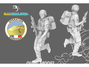 Blacksnake Model figurine FR-05 Soldat Français Opération Barkhane figurine 5 1/35
