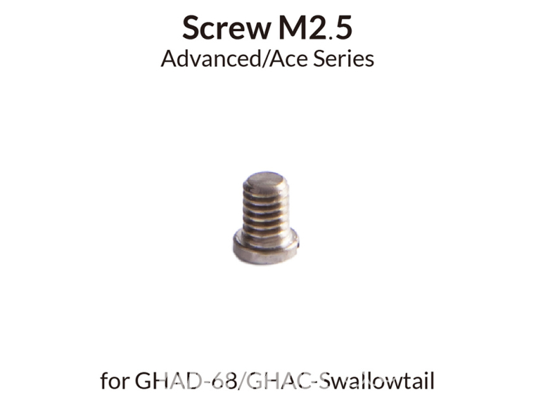Gaahleri aérographe 41291 Vis M2.5 pour GHAD-68 / Swallowtail
