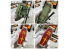 Alexen Models CR020 Weathering set A