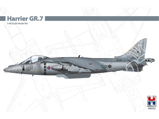 Hobby 2000 maquette avion 48043 Harrier GR.7 1/48