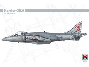 Hobby 2000 maquette avion 48044 Harrier GR.9 1/48