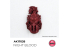 Ak interactive peinture acrylique 3G AK17037 ROUGE INFERNAL QUICK GEN COLOR 18ml