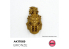 Ak interactive peinture acrylique 3G AK17069 BRONZE QUICK GEN COLOR 18ml