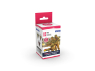 Ak interactive peinture acrylique 3G AK17505 UNIFORMES AMÉRICAINS WWII QUICK GEN COLOR Set 3x18ml