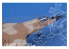 Kitty Hawk maquette avion 80111 MIRAGE F.1CT/CR ARMÉE DE L AIR 2001 1.48