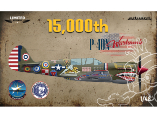 EDUARD maquette avion 11193 15,000th P-40N Warhawk Edition Limitée 1/48