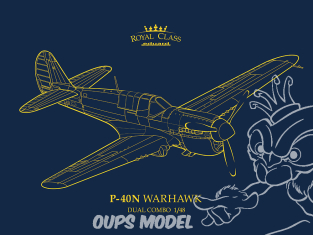 EDUARD maquette avion R0025 P-40N Dual combo Royal Class 1/48