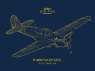 EDUARD maquette avion R0025 P-40N Dual combo Royal Class 1/48