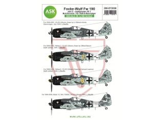 ASK Art Scale Kit Décalcomanies D72038 Focke Wulf Fw 190A Partie 2 - Jagdgruppe JG 3 Butcherbirds / Fw 190A-8 Rammjäger 1/72