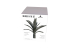 RT-Diorama 35475 Palmier dattier n°1 1/35