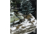 RT-Diorama 35480 Sapin n°2 1/35