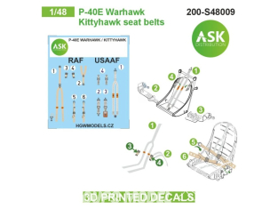 ASK Art Scale Kit Décalcomanies 3D S48009 Harnais 3D P-40E Warhawk Kittyhawk 1/48