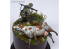RT-Diorama 35444 Carcasse de vache 1/35