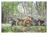 Italeri maquette militaire 96460 Canon antichar Pak 97/38 avec équipage 1/35