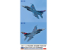 Hasegawa maquette avion 07548 Mitsubishi F-2A 8e escadre aérienne 70e anniversaire Force aérienne d'autodéfense japonaise 1/48