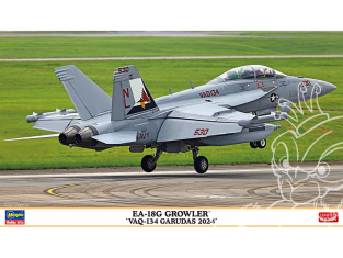 Hasegawa maquette avion 02487 EA-18G Growler VAQ-134 Garudas 2024 1/72