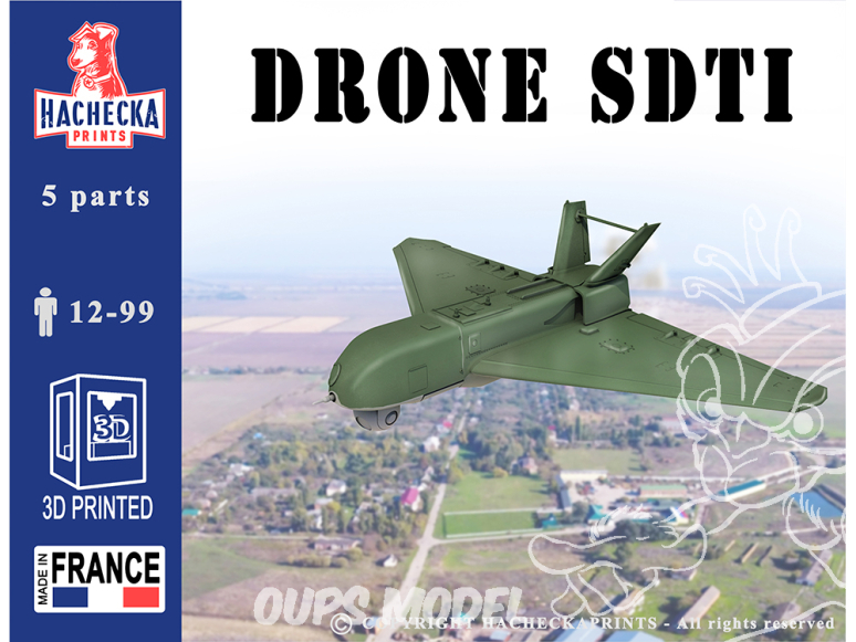 Hachecka Prints maquette Drone SDTI 1/35