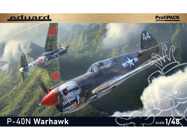 EDUARD maquette avion 82242 P-40N Warhawk ProfiPack Edition 1/48