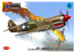 KP Model kit avion KPH0509 P-40E Warhawk 1/72