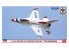 Hasegawa maquette avion 02495 F-16C Block 52 Fighting Falcon Thunderbirds 1/72