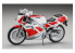 Hasegawa maquette moto 21517 Yamaha TZR250 3MA 1/12