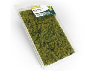 Mig végétation 8856 Touffes deux couches Herbe début Automne