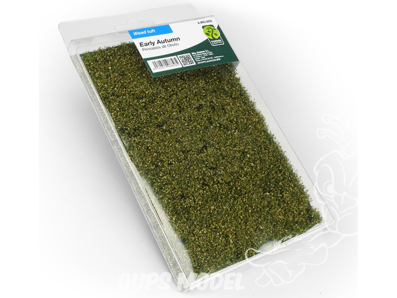 Mig végétation 8858 Touffes de mauvaises herbes d'but d'Automne