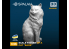 Spalah kit figurine SP21235 Chat 1/35